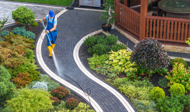 Best Best Pressure Washing Companies  in Clifton, IL