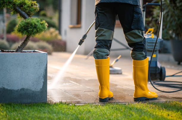 Best Residential Pressure Washing Services  in Clifton, IL